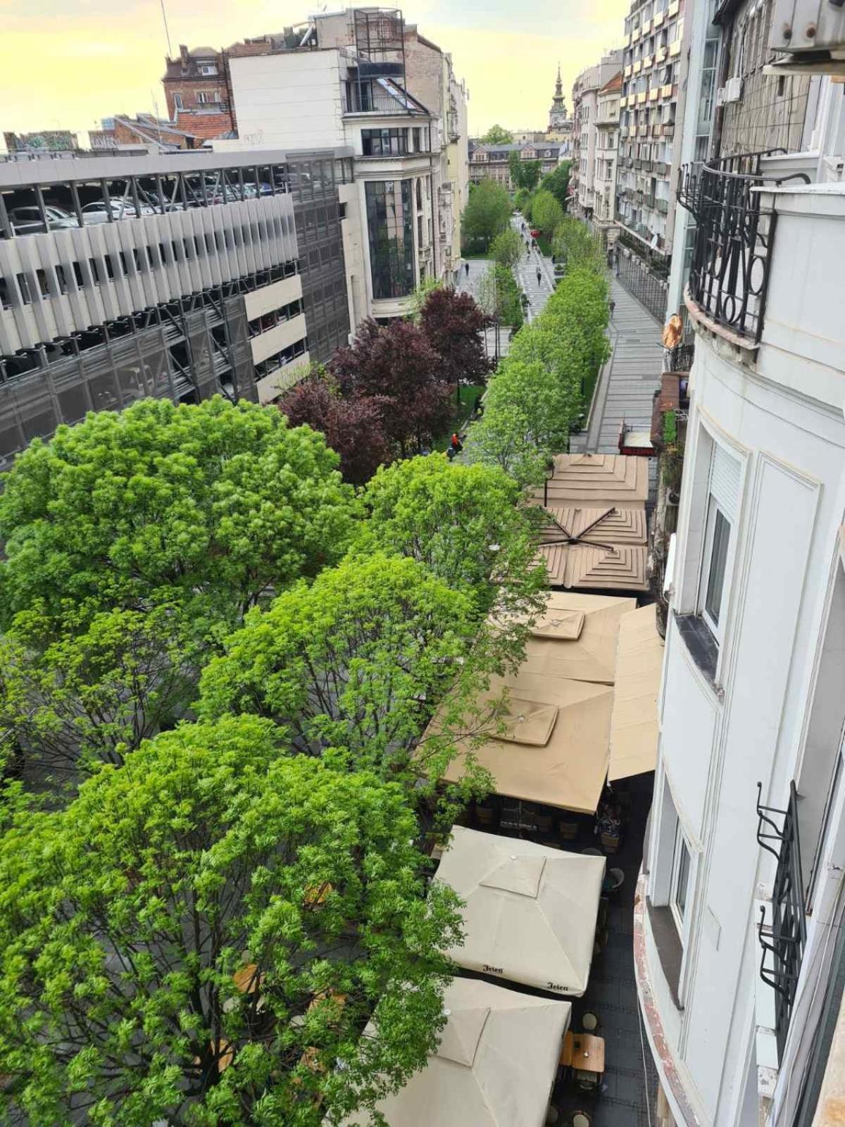 City Center Apartment เบลเกรด ภายนอก รูปภาพ